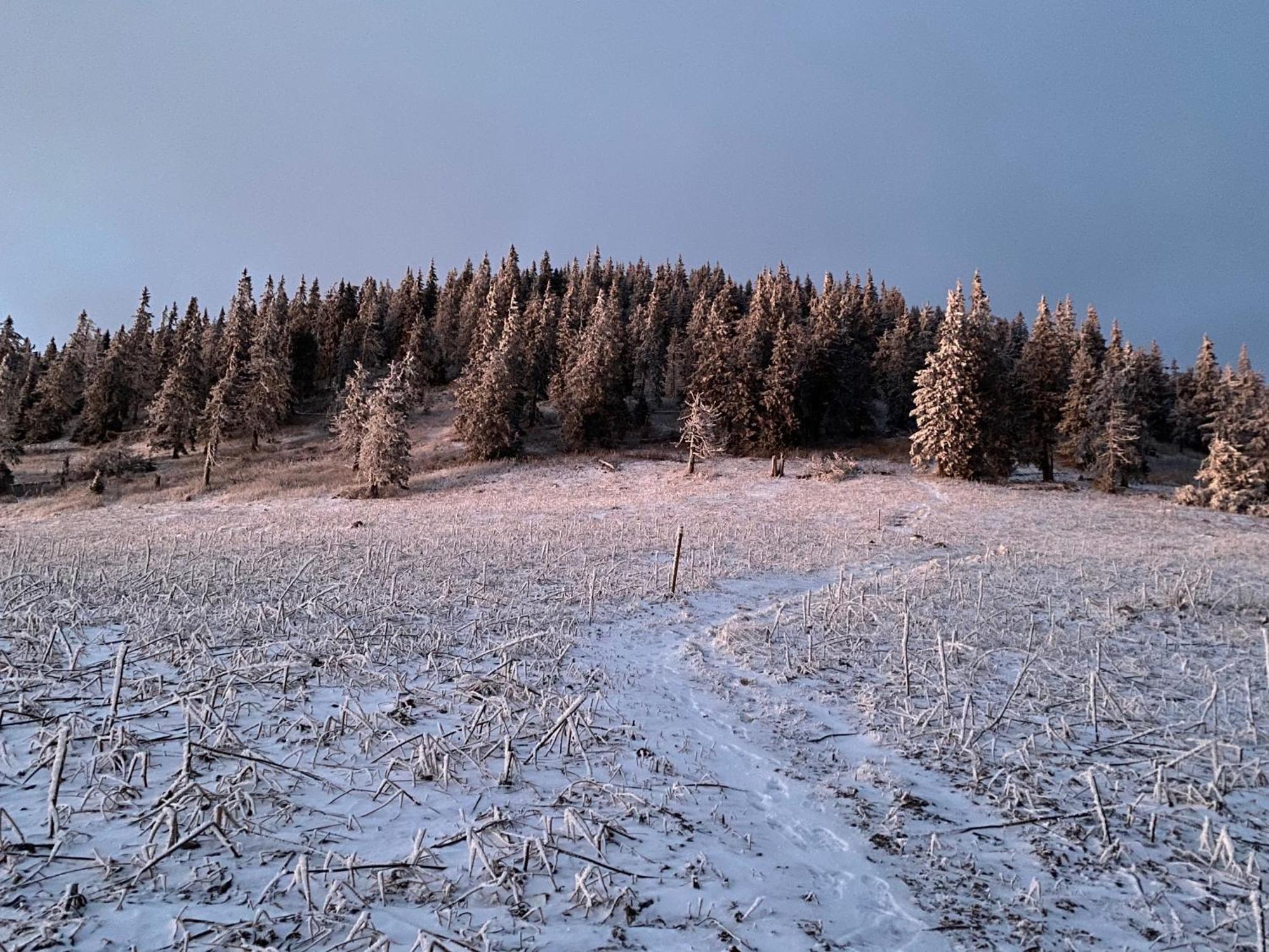 Drevenica Polomka, 20 Min To 5 Ski Resorts Brezno Exterior photo